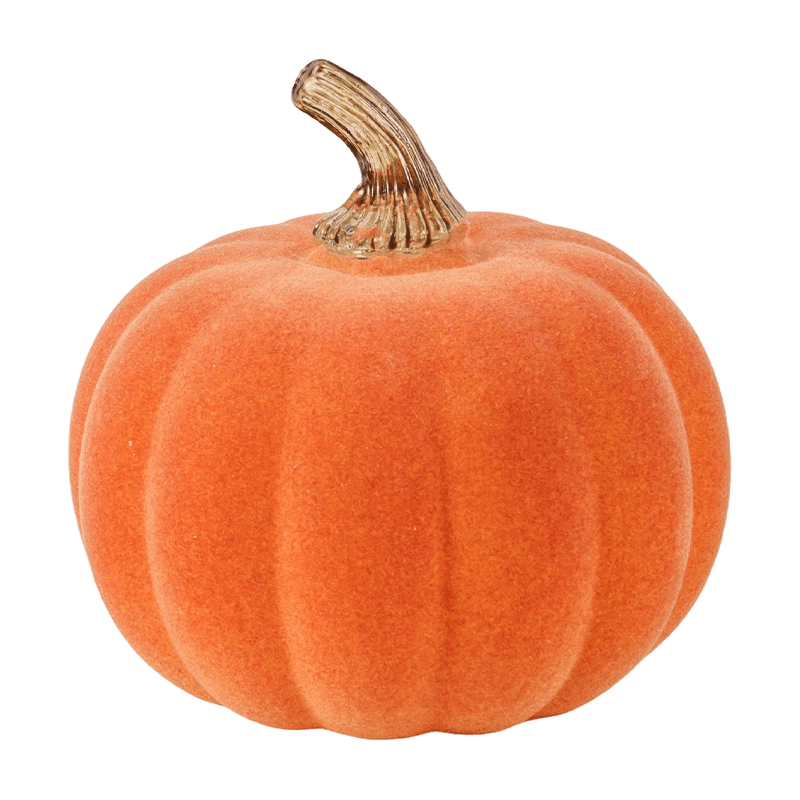 Holoserica / Gregis Ornamentum Cucurbita cum Vitro Caule
