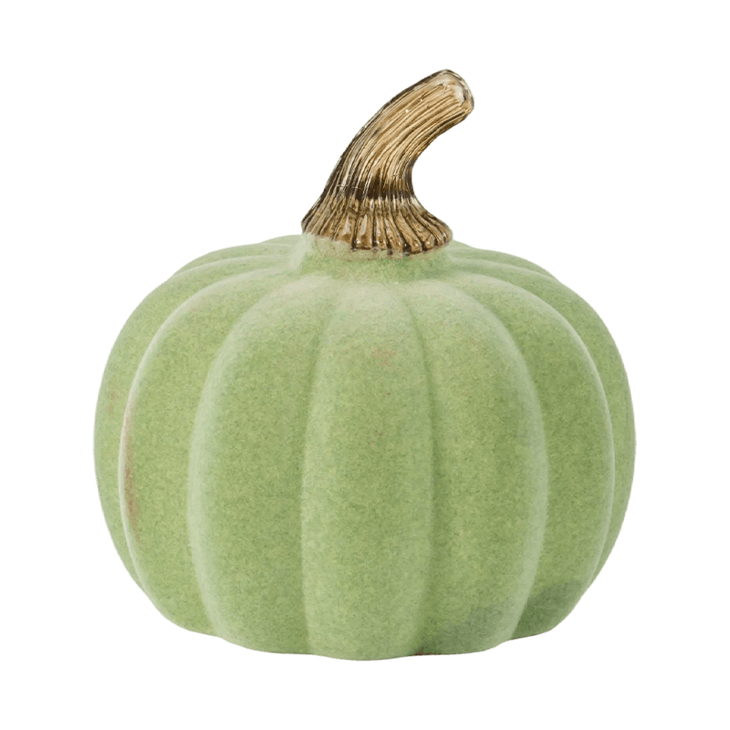 Holoserica / Gregis Ornamentum Cucurbita cum Vitro Caule