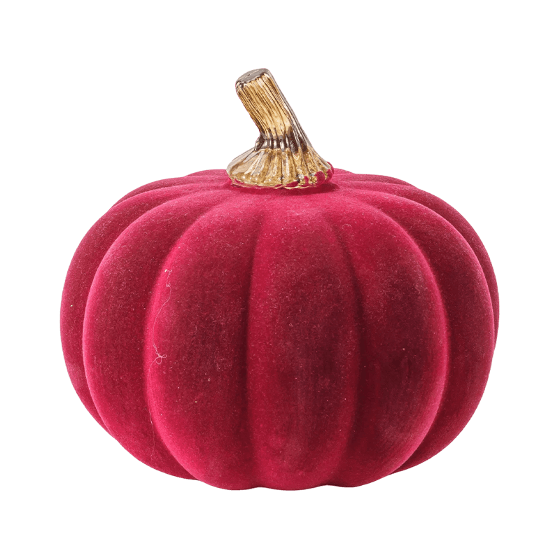 Holoserica / Gregis Ornamentum Cucurbita cum Vitro Caule