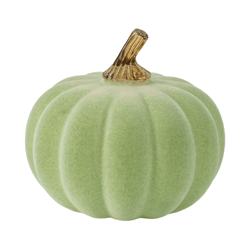 Holoserica / Gregis Ornamentum Cucurbita cum Vitro Caule