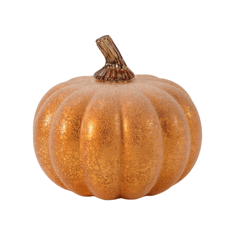 Holoserica / Gregis Ornamentum Cucurbita cum Vitro Caule