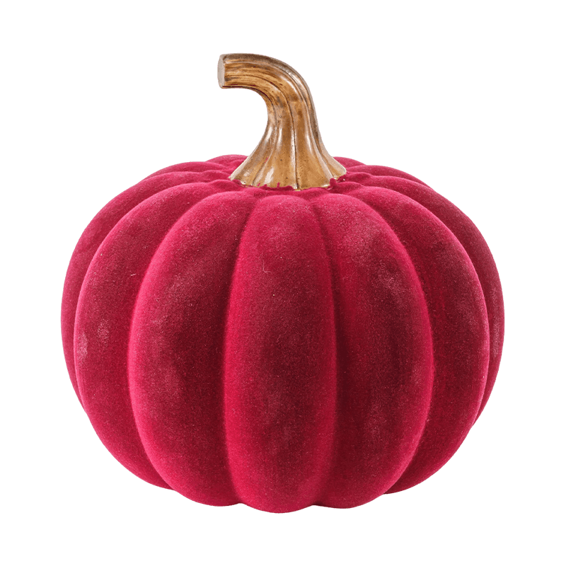 Holoserica / Gregis Ornamentum Cucurbita cum Vitro Caule