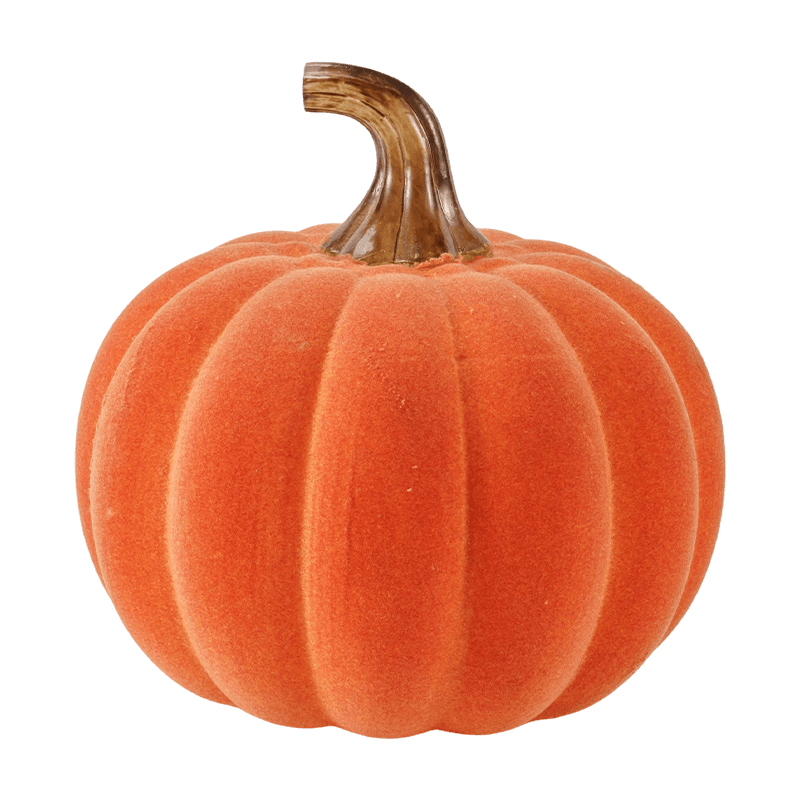 Holoserica / Gregis Ornamentum Cucurbita cum Vitro Caule