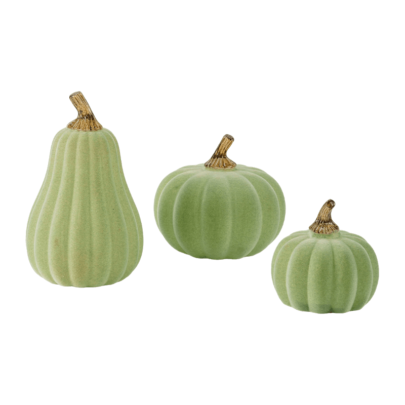 Multi-amplitudo holoserica / Confluebant Decorative Cucurbita Set cum Vitro Caule