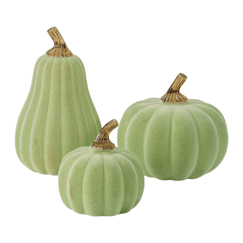 Multi-amplitudo holoserica / Confluebant Decorative Cucurbita Set cum Vitro Caule