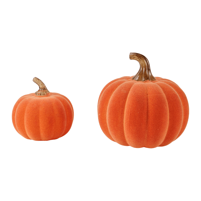 Multi-amplitudo holoserica / Confluebant Decorative Cucurbita Set cum Vitro Caule