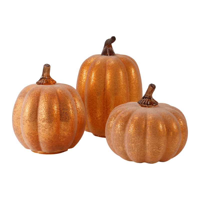 Multi-amplitudo holoserica / Confluebant Decorative Cucurbita Set cum Vitro Caule