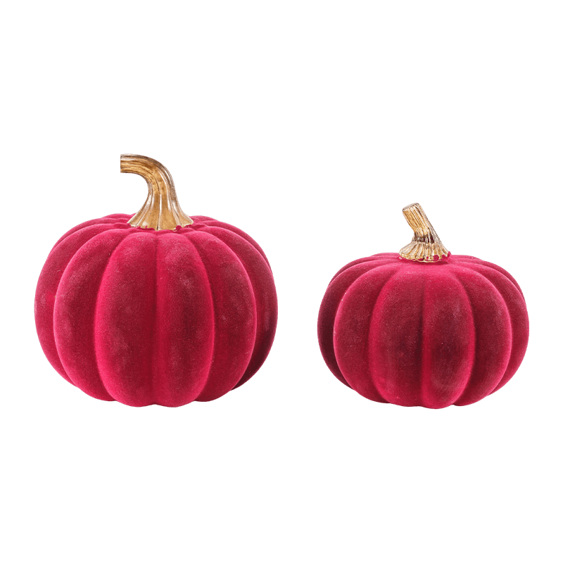 Multi-amplitudo holoserica / Confluebant Decorative Cucurbita Set cum Vitro Caule